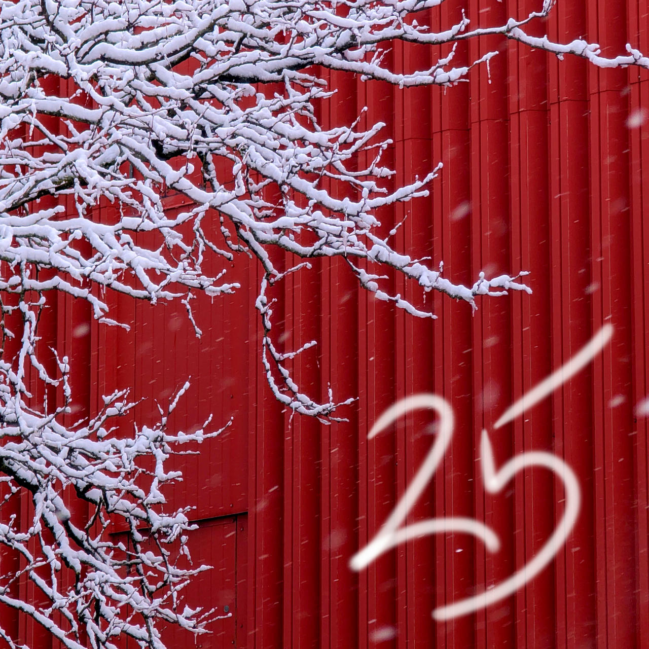 i started rapping again this year